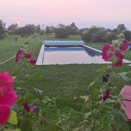 Charmant Logement A La Campagne Gazaupouy Εξωτερικό φωτογραφία