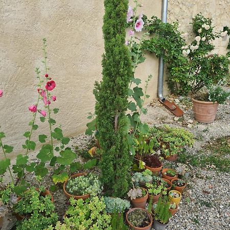 Charmant Logement A La Campagne Gazaupouy Εξωτερικό φωτογραφία