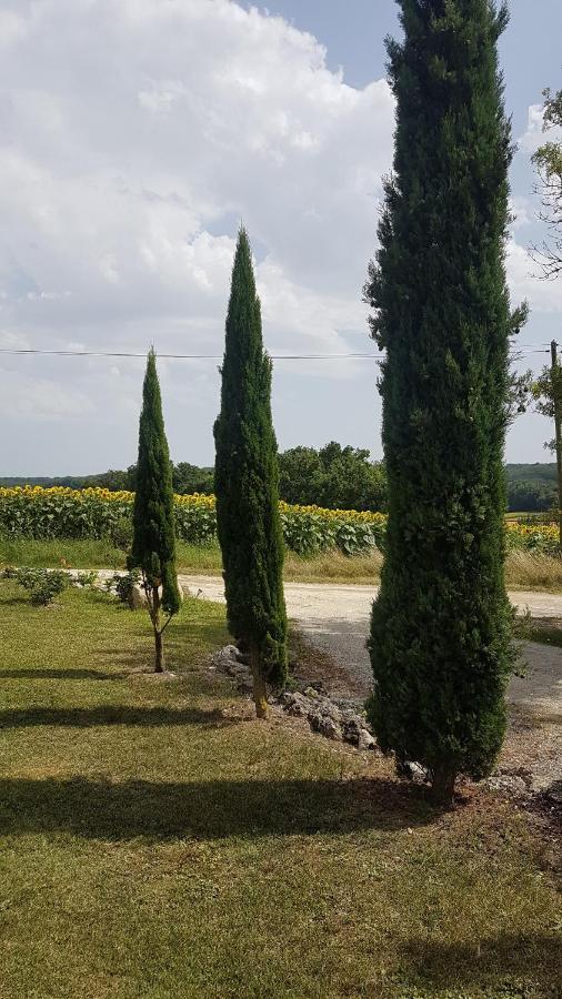Charmant Logement A La Campagne Gazaupouy Εξωτερικό φωτογραφία