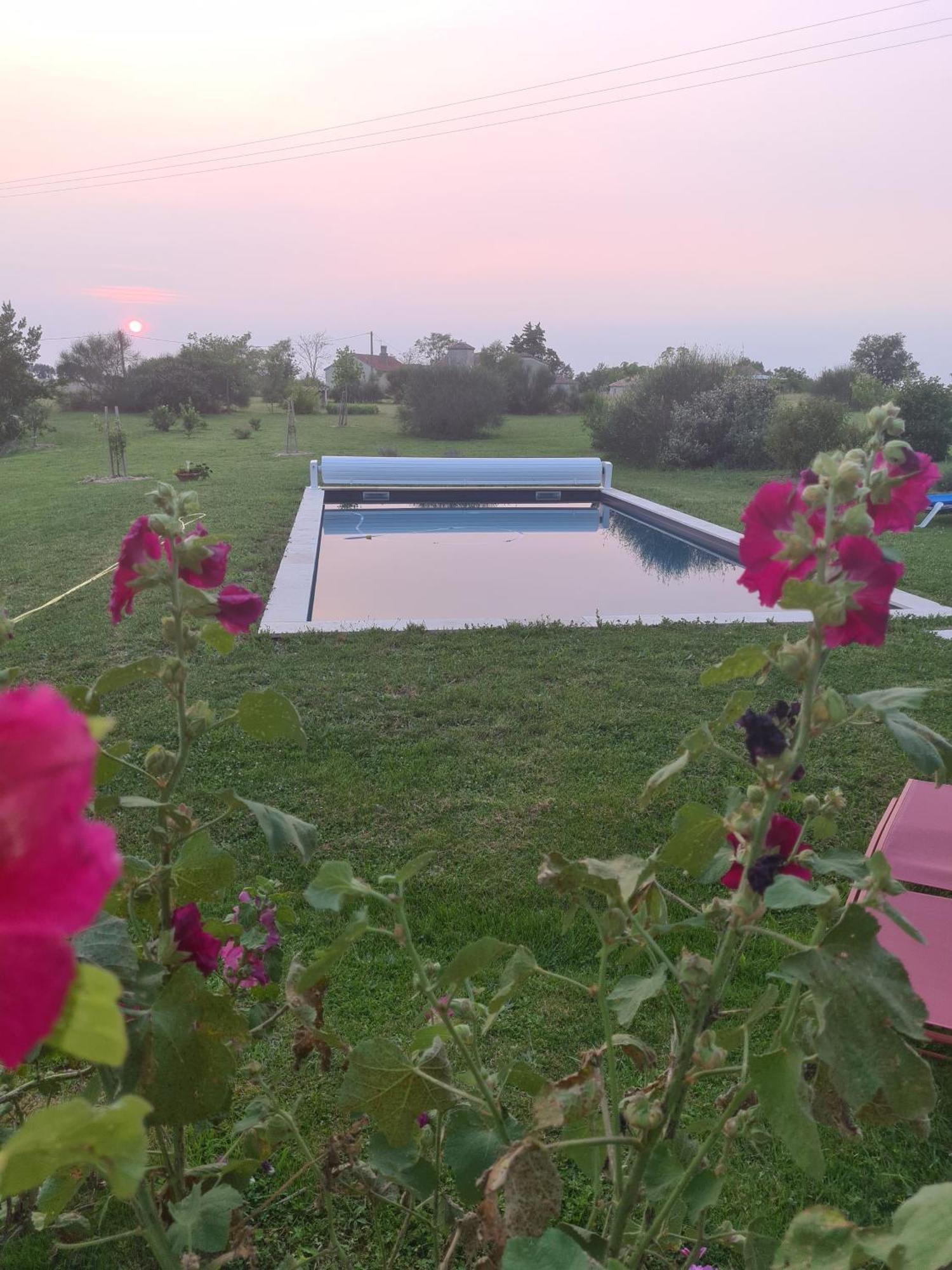 Charmant Logement A La Campagne Gazaupouy Εξωτερικό φωτογραφία