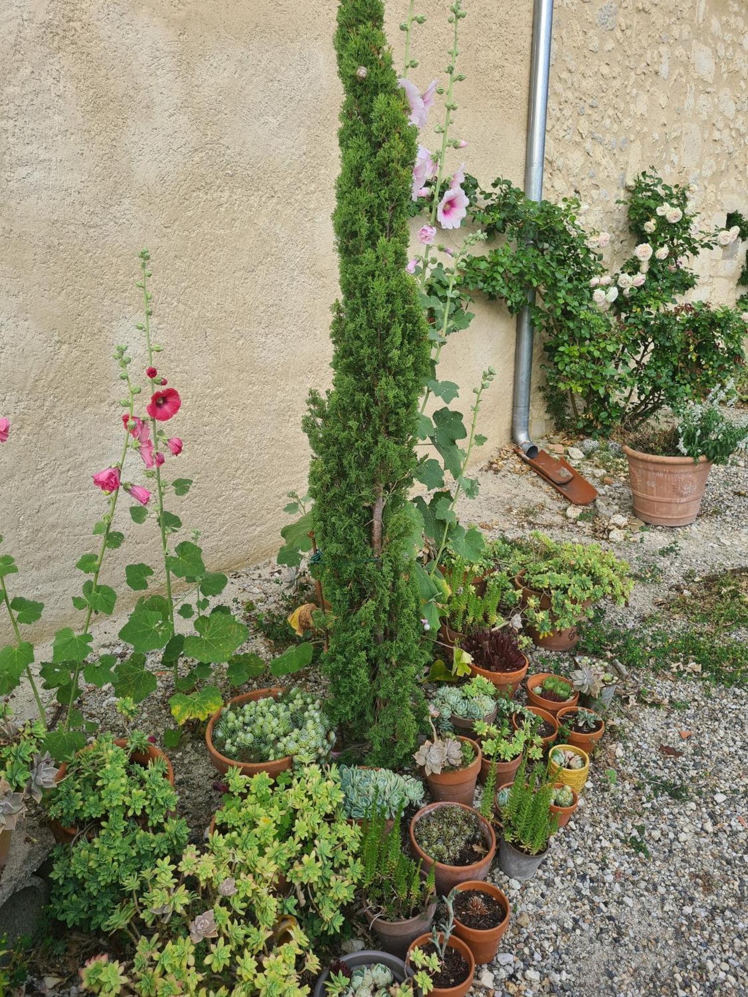 Charmant Logement A La Campagne Gazaupouy Εξωτερικό φωτογραφία